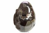 Septarian Dragon Egg Geode - Black Crystals #267336-2